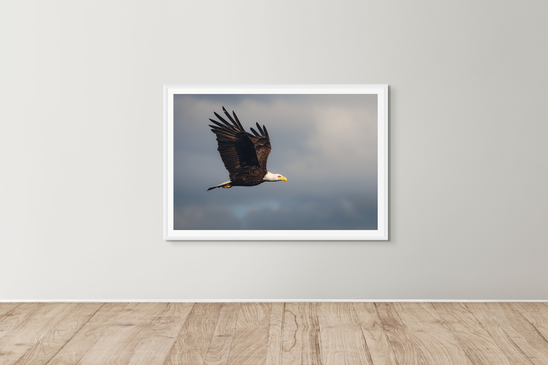 The Importance of Ethical Wildlife Photography in Art Collection