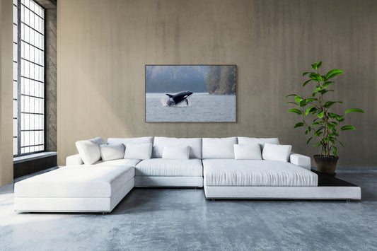 Ditch the Renovations:  Buy Photography Instead